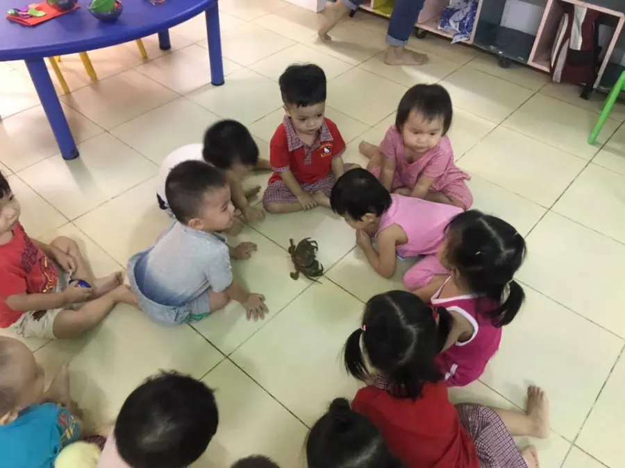 Trường mầm non Kitty
