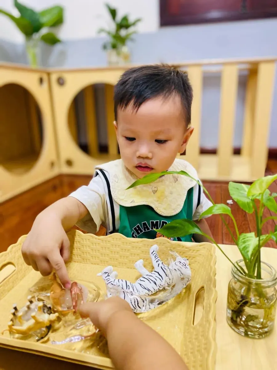 Trường Mầm Nhỏ Nido Montessori