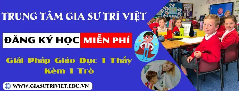 Trung tâm Gia sư Trí Việt