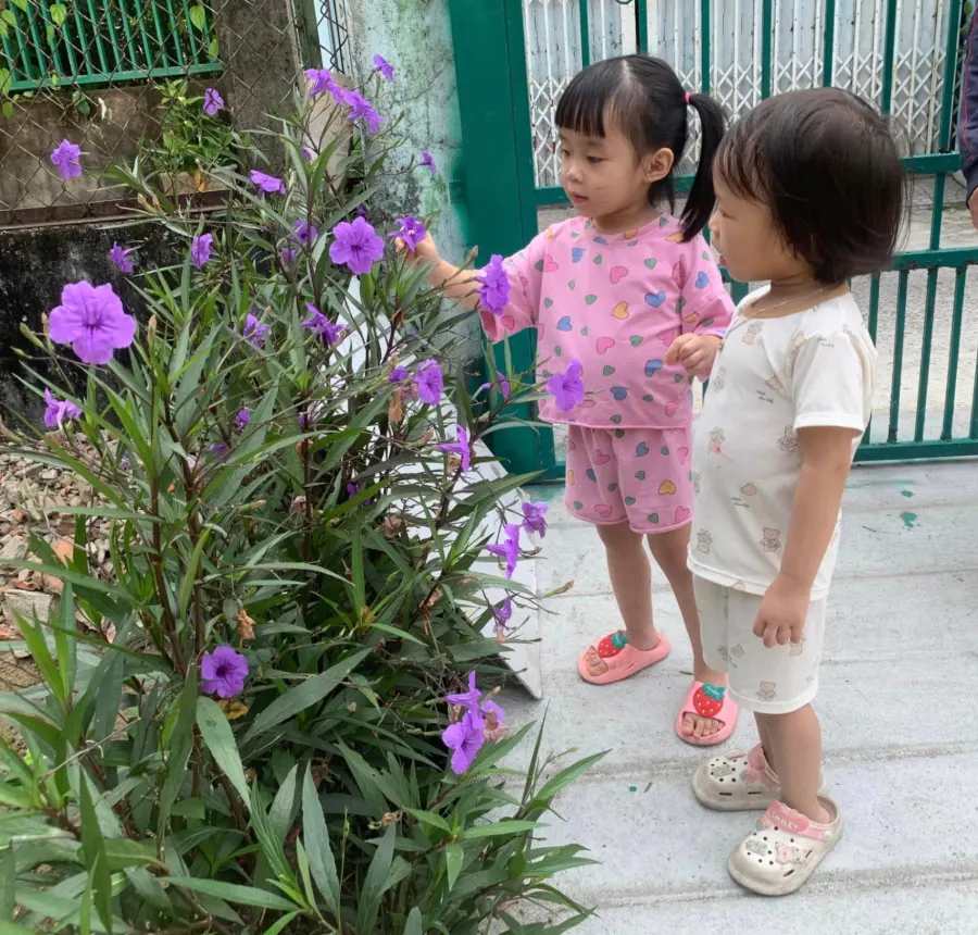 Mầm non Ong Vàng - Phường Mân Thái, Sơn Trà