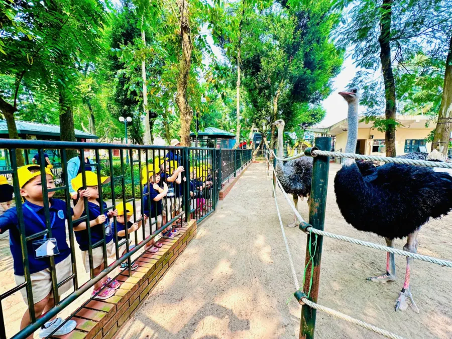Trường mầm non Qibi Montessori