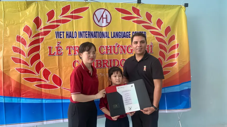 Trung tâm Ngoại Ngữ Việt Halo