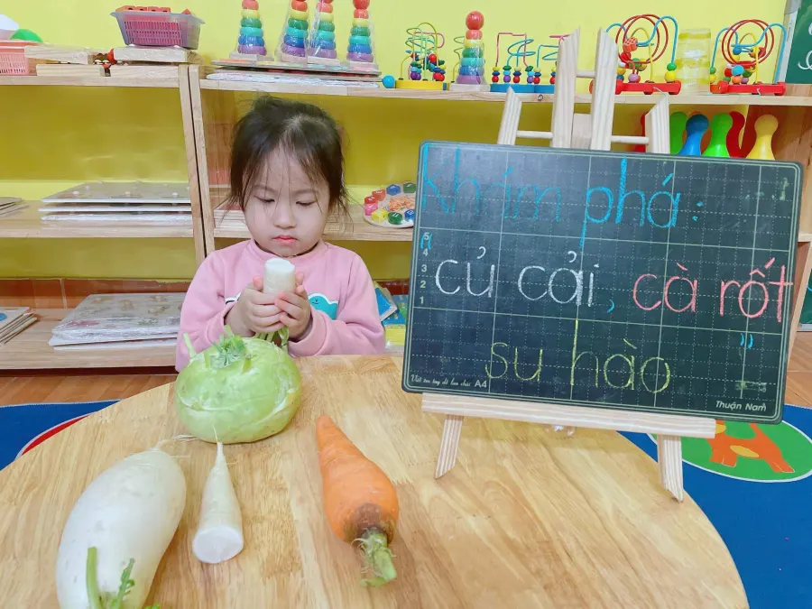 Trường Mầm non Hoa Hướng Dương CS1