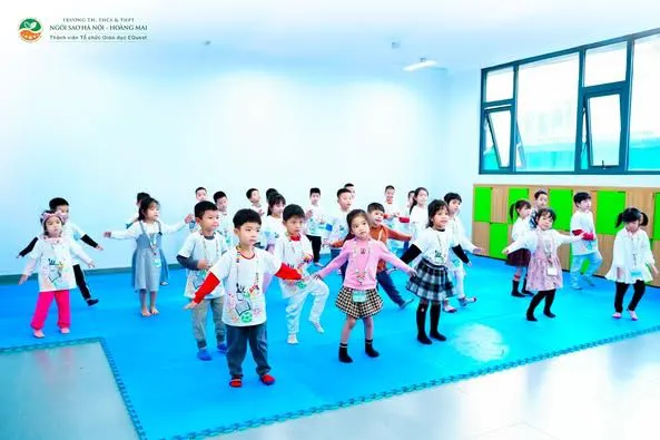 Trường TH, THCS & THPT Ngôi Sao Hà Nội