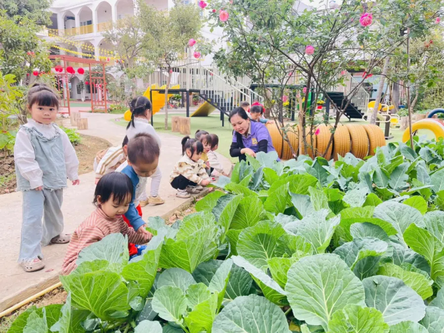 Trường Mầm Non Thời Thơ Ấu