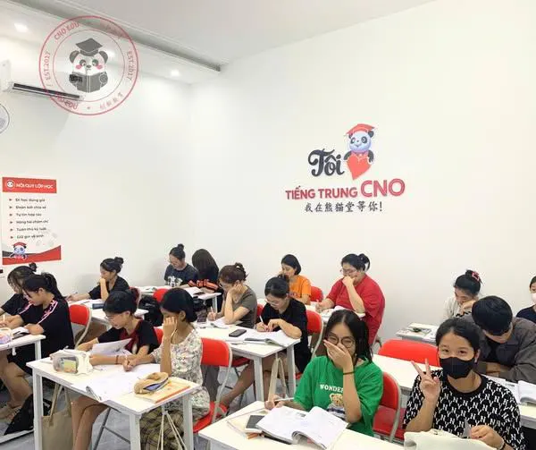 Trung tâm Tiếng Trung CNO - Cẩm Phả