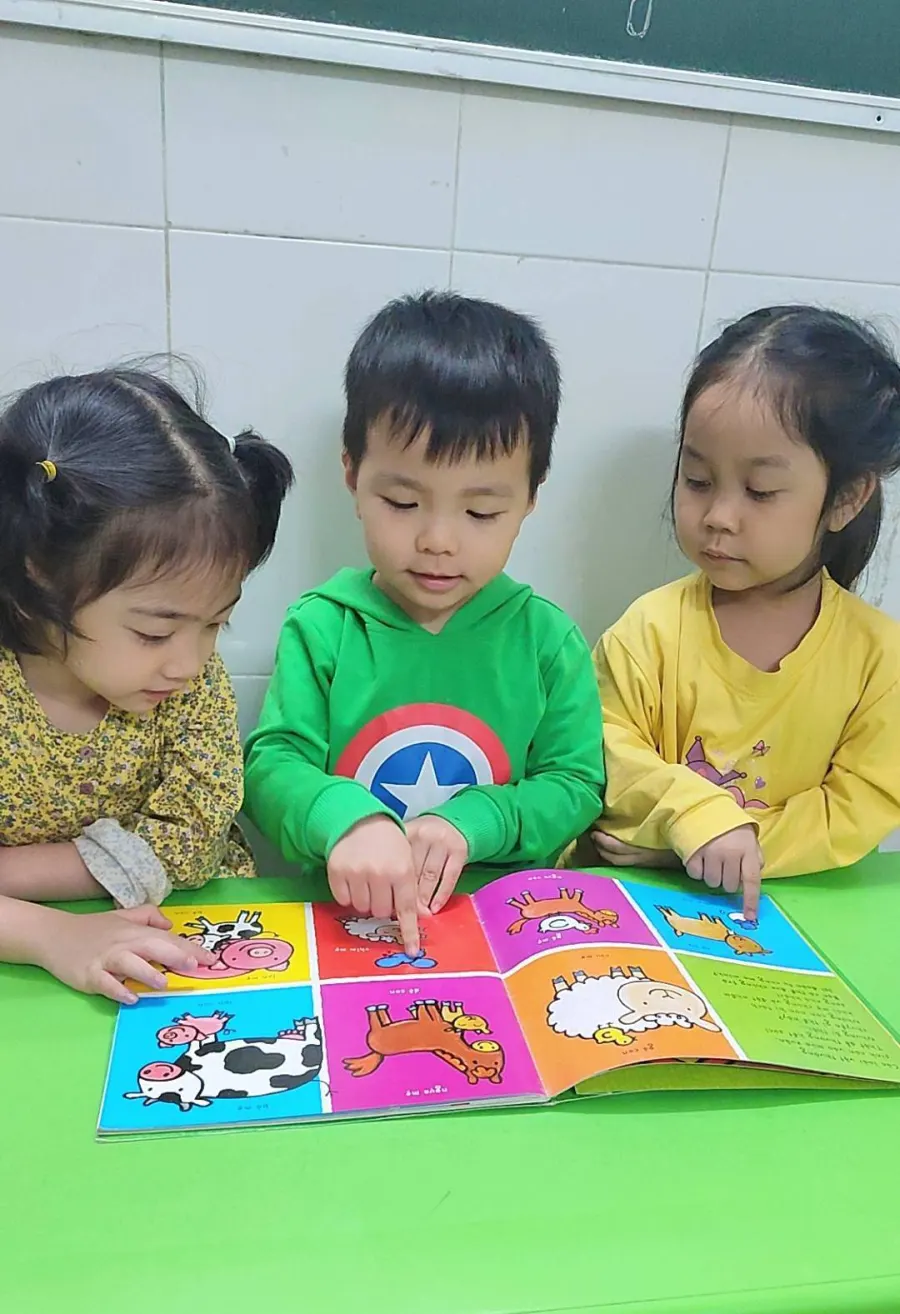 Trường Mầm Non Sơn Ca