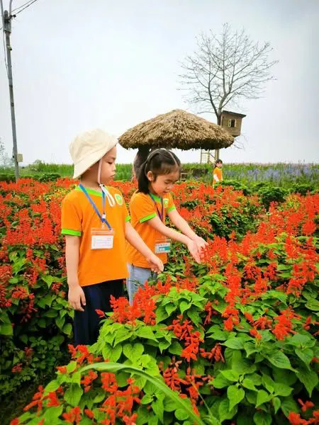 Mầm Non VSK Sunshine - Cơ sở 2 Cổ Nhuế 1