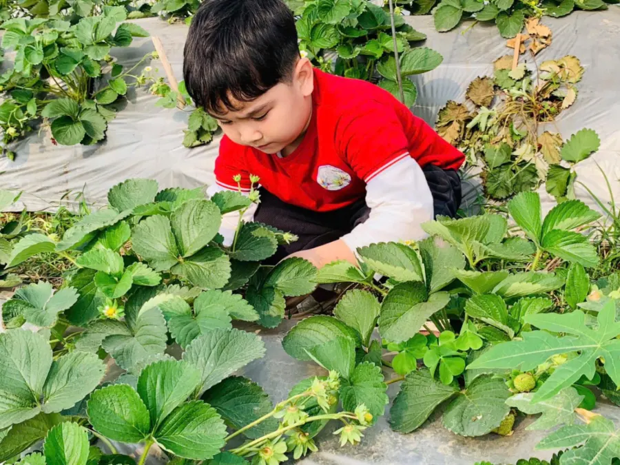 Trường Mầm non Những em bé sáng tạo - Clever Kids Montessori Preschool