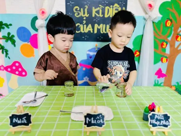 Trường Mầm non Sao Mỹ - Stellar Kindergarten