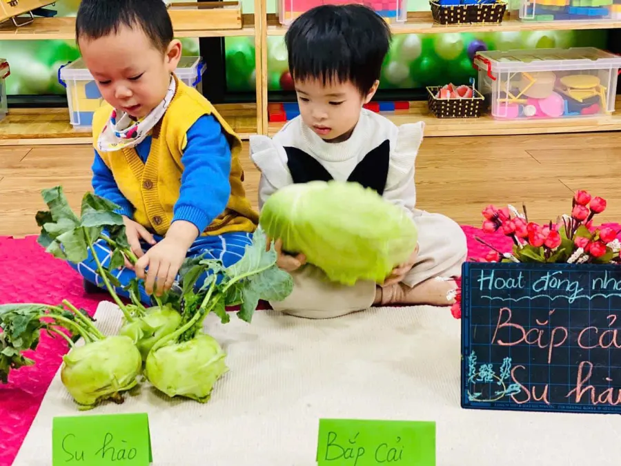 Trường mầm non HANOI KINDERGARTEN