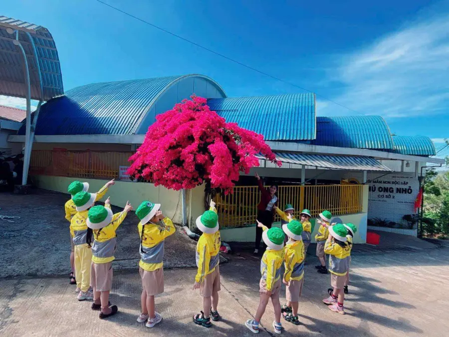 Trường Mầm non Chú Ong Nhỏ - Little Bee Kindergarten