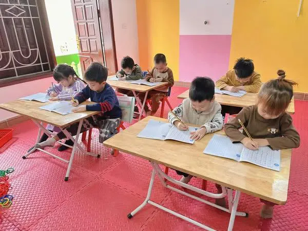 MẦM NON KIM CƯƠNG