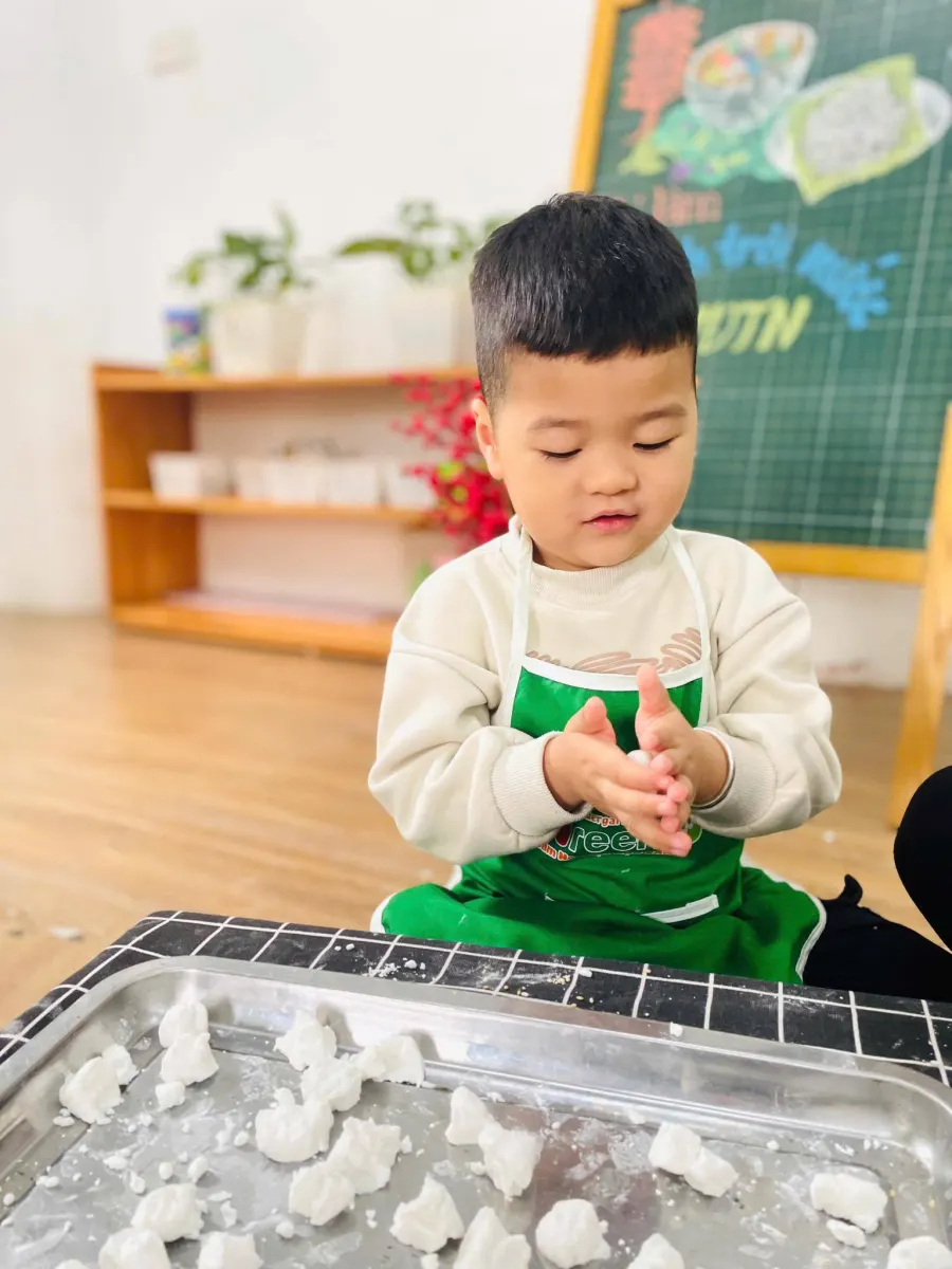 Mầm non Hạt Đậu Xanh - Green Bean Preschool