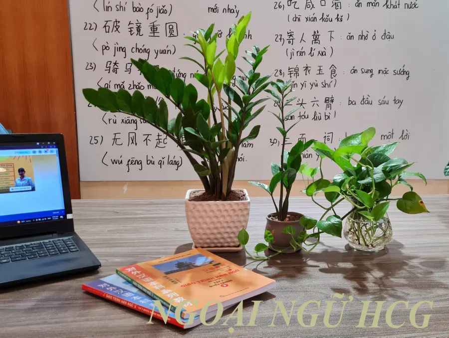 Trung tâm Ngoại Ngữ HCG