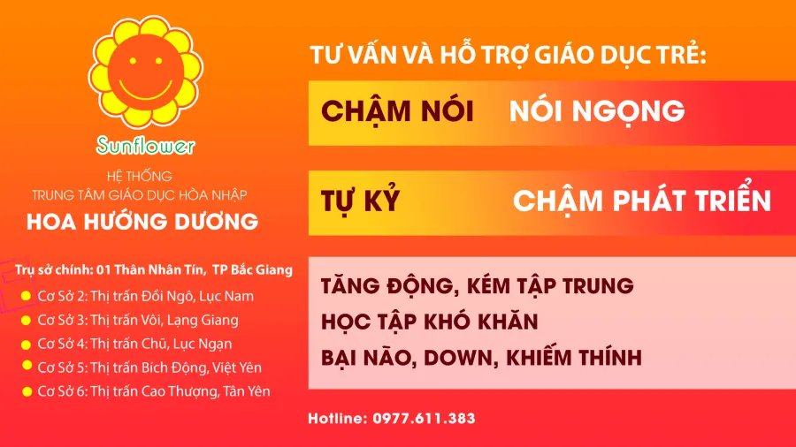 Trung Tâm Giáo Dục Hoà Nhập Hoa Hướng Dương