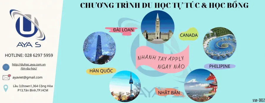 Trung tâm Du học AYA-Ngoại Ngữ WAKÔ
