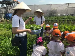 Trường mầm non Việt Hoa