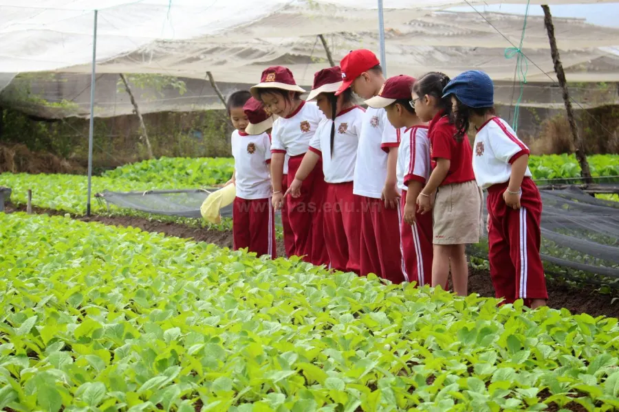 Trường mầm non quốc tế Việt Úc