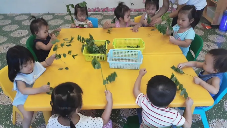 Trường mầm non Baby Boom