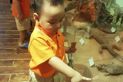 Trường mầm non Cát Linh