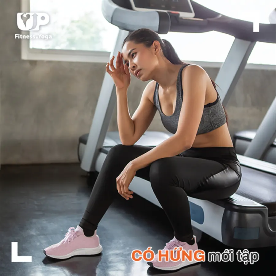 Trung tâm UP Fitness & Yoga Center