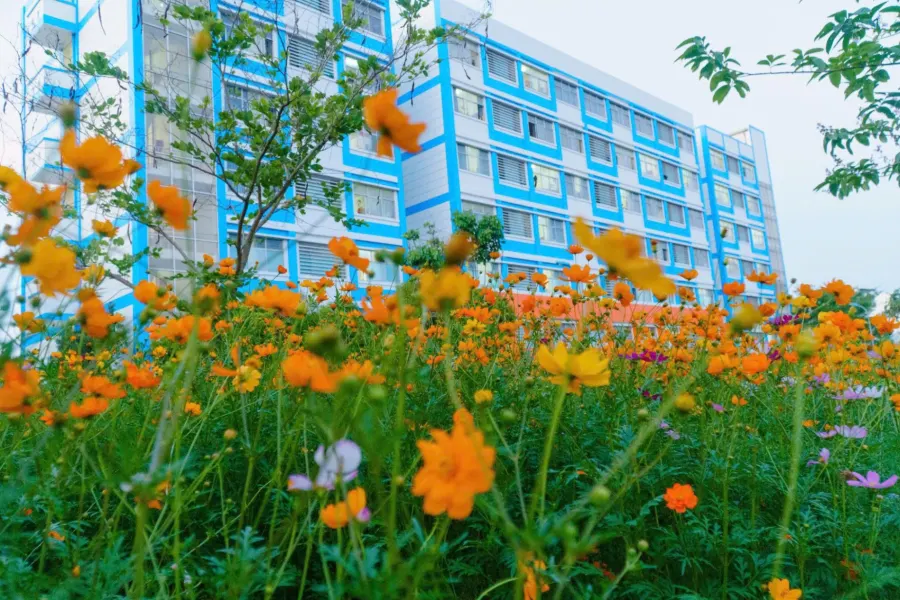 Trường Đại học Giao thông Vận tải phân hiệu tại TP.HCM UTC2