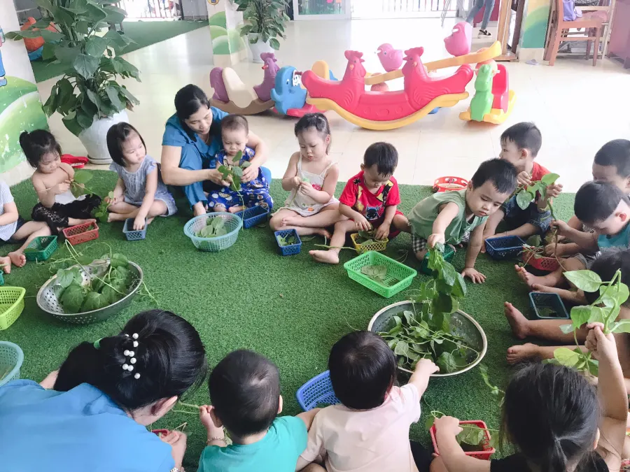  Trường mầm non Trúc Quỳnh - An Cư 3, Sơn Trà