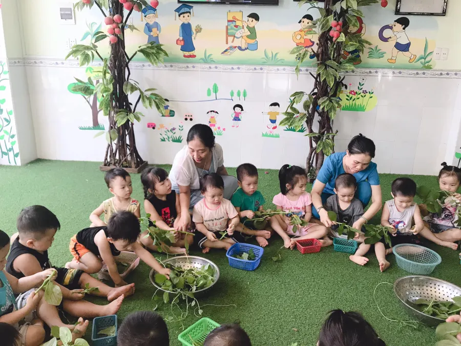 Trường mầm non Trúc Quỳnh - An Cư 3, Sơn Trà