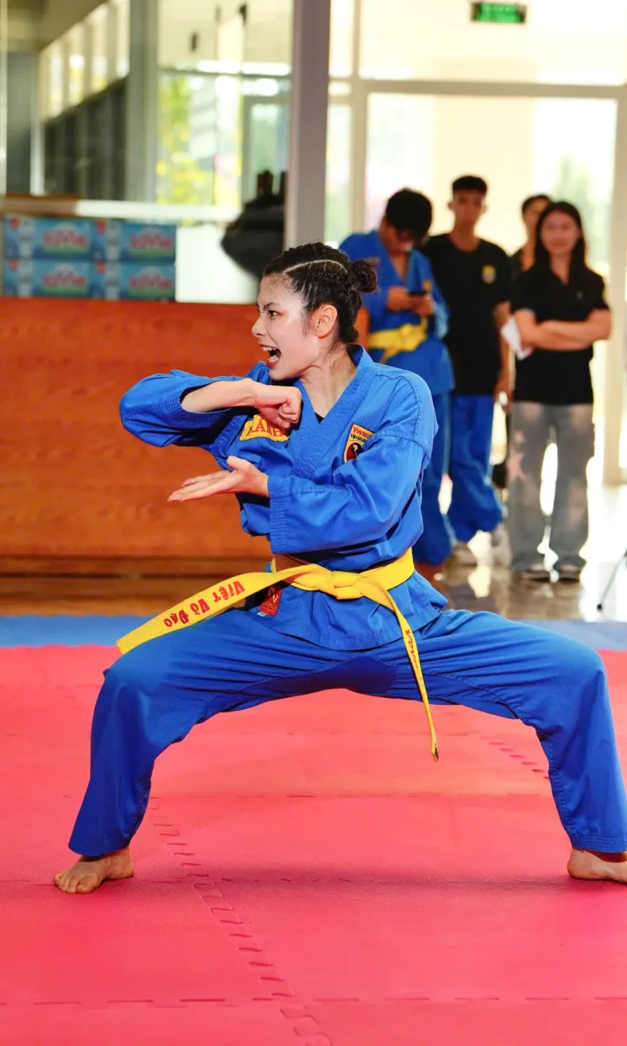 Câu lạc bộ Vovinam Mỹ Đình