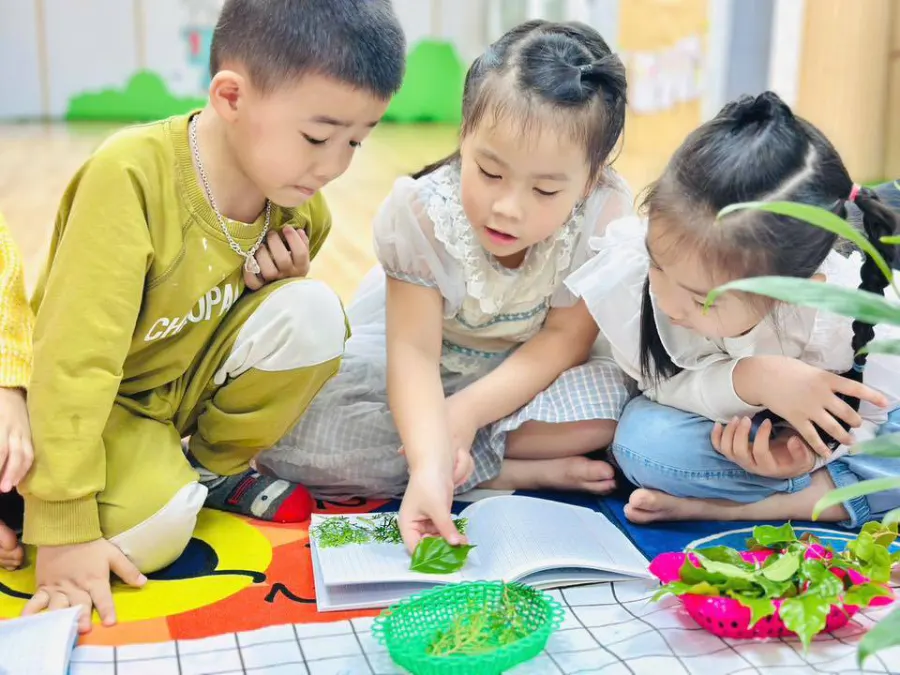 Hệ thống Mầm non BIBI Hoa Mai STEAM