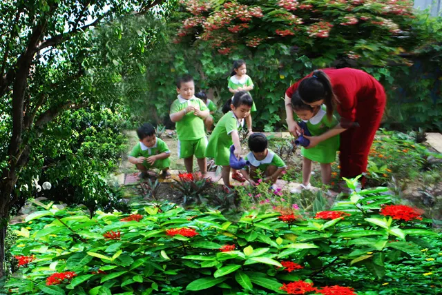 Trường mầm non Nam Mỹ