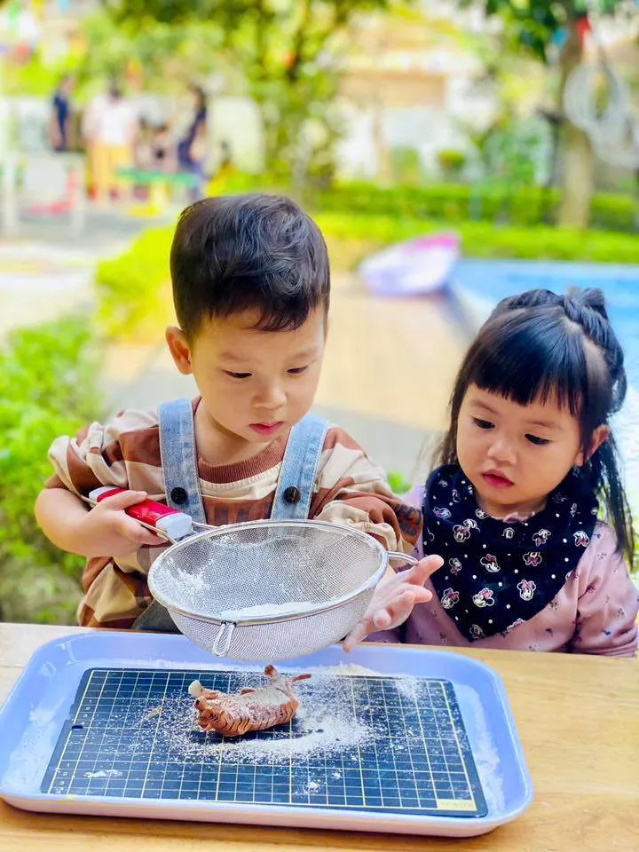 Trường Mầm non Việt Úc - Viet Australia Preschool
