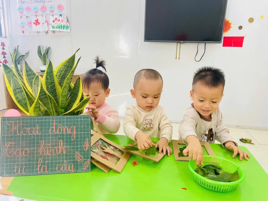 Trường Mầm Non Mango