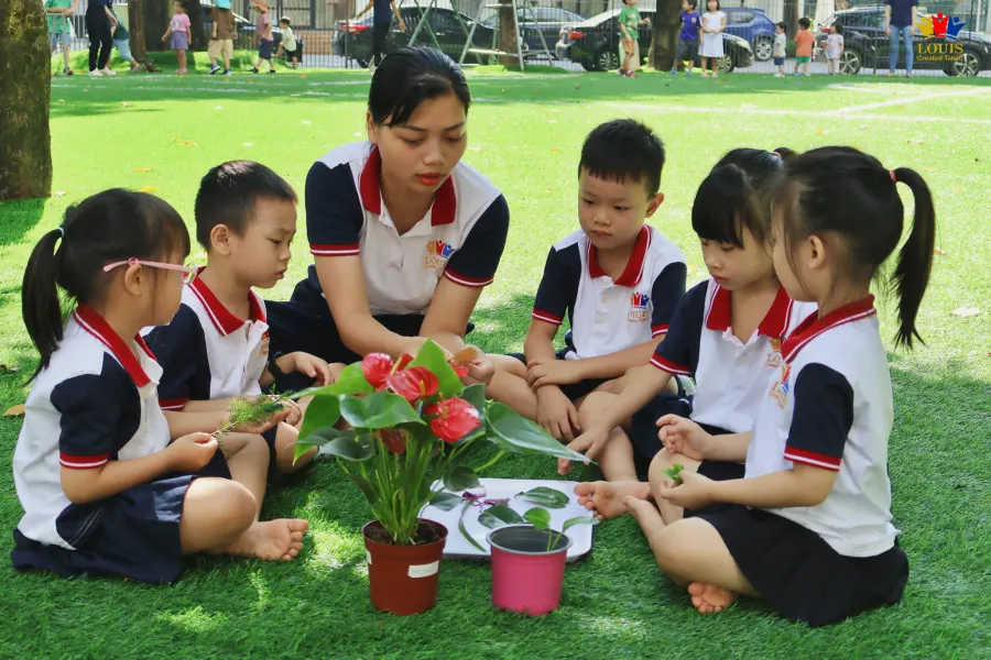 Trường Mầm non Louis - Louis Kindergarten