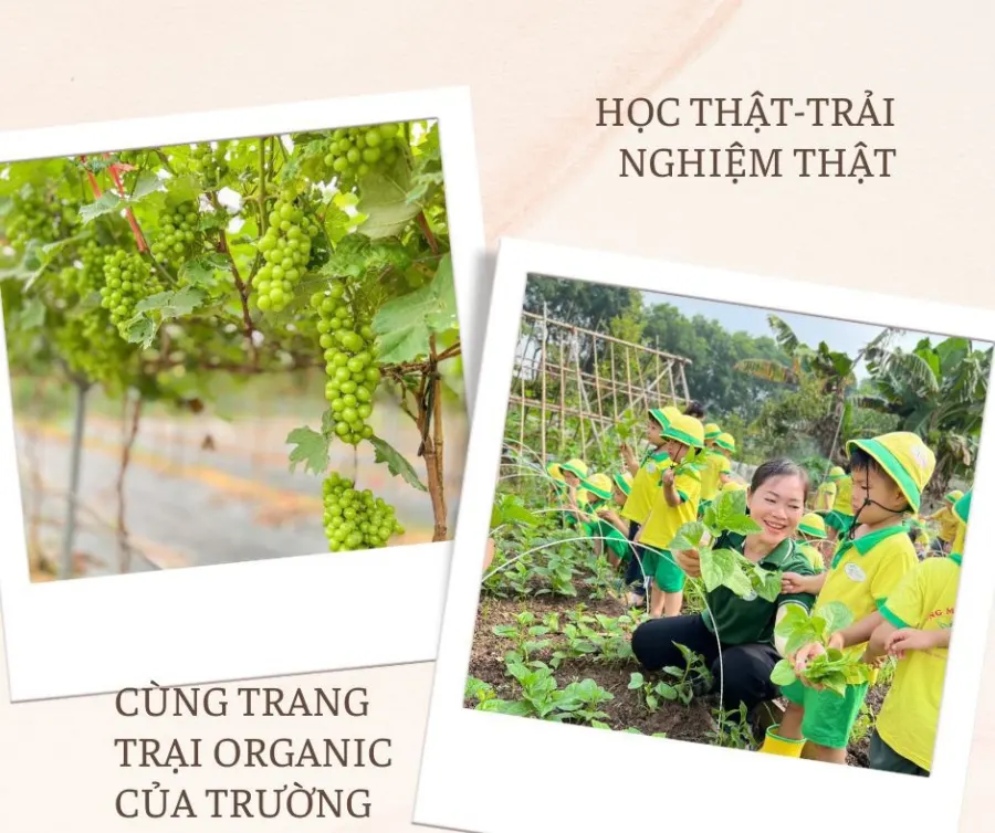 Trường mầm non Việt An ( Viet An kindergarten and pre-school)