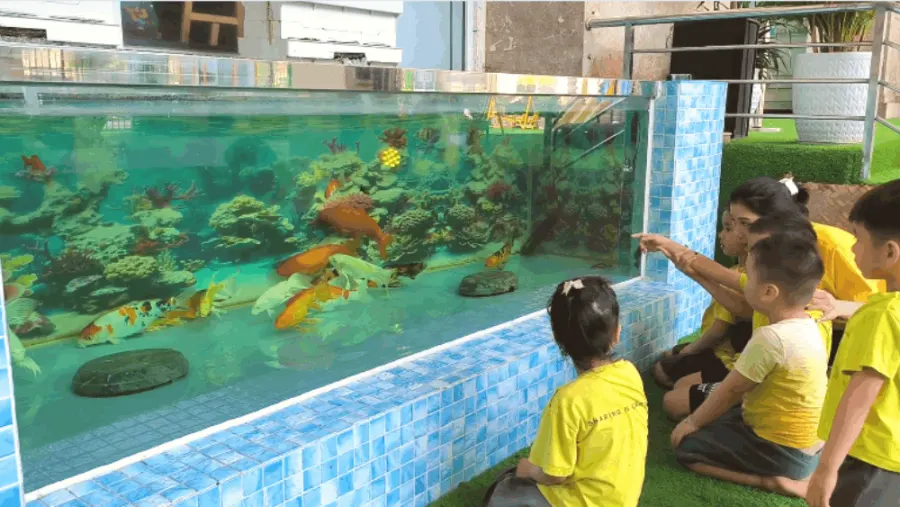 Trường Mầm non Chú ngựa Homie (Homie Horse Preschool)- Hai Bà Trưng