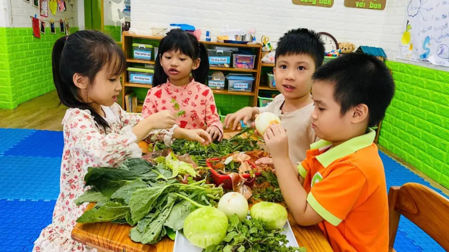 Trường Mầm Non VSK Thăng Long