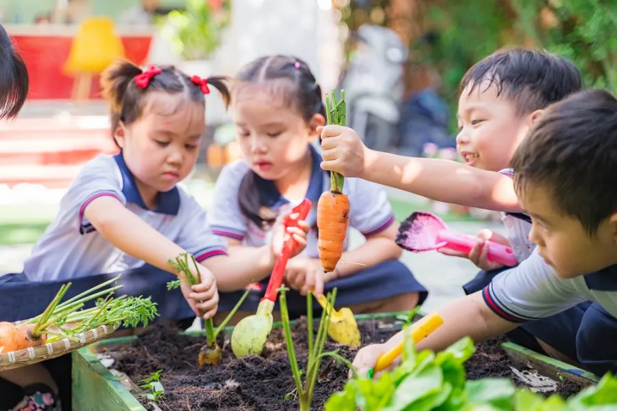 Trường Mầm Non Học Viện Hoa Kỳ - Phường 10 (AAE Maryland)