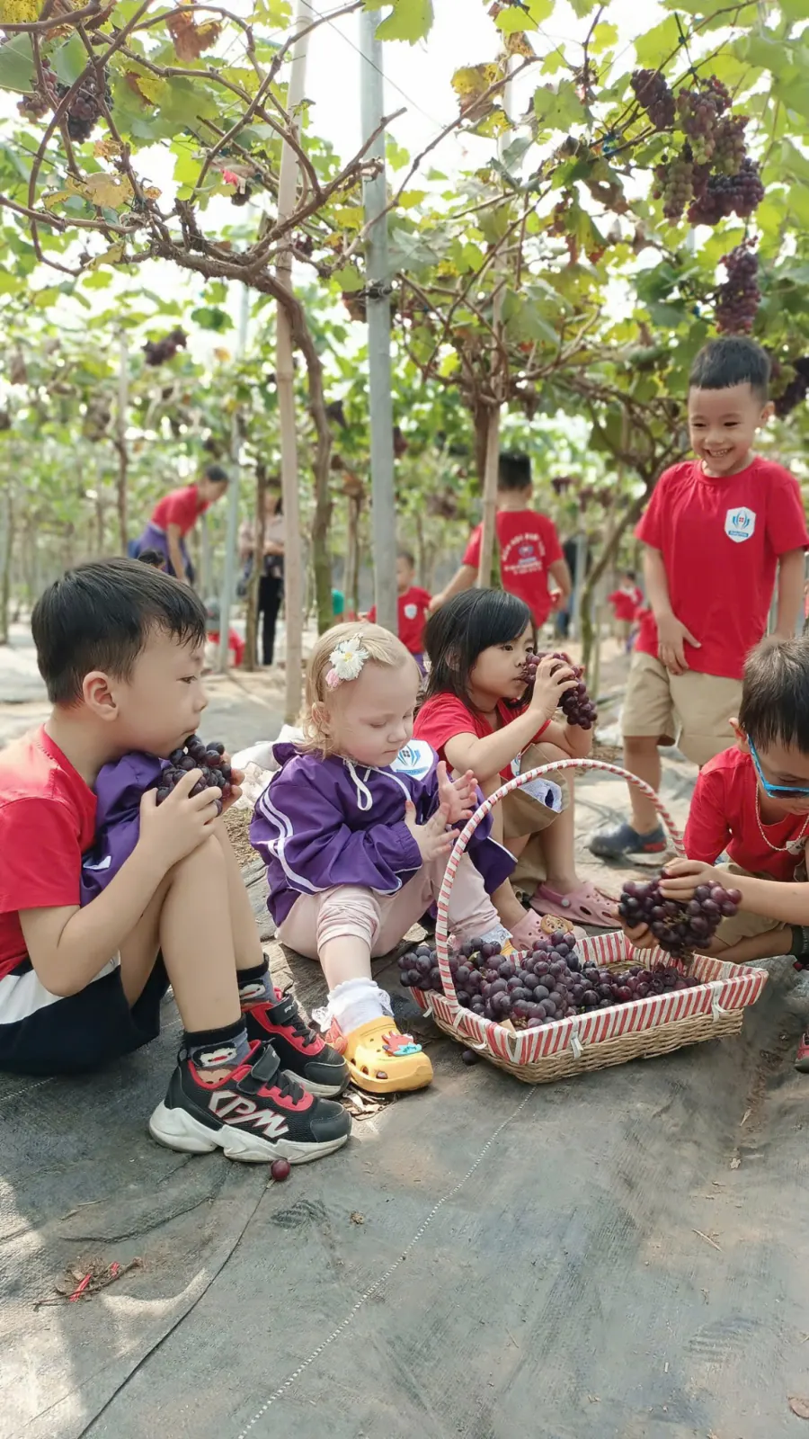 Mầm Non RubyKids - Mỗ Lao, Hà Đông