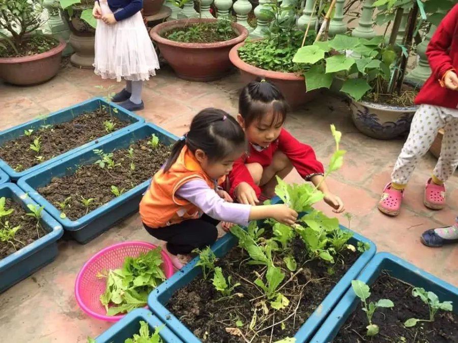 Trường mầm non Lily Reggio Emilia Inspired Preschool