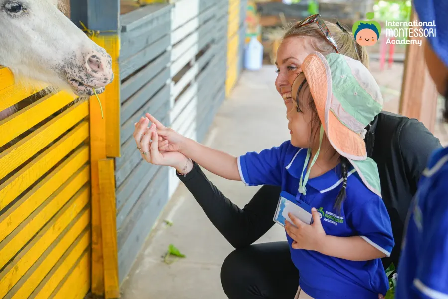 Trường Mầm Non IMA Montessori - IMA Montessori Academy