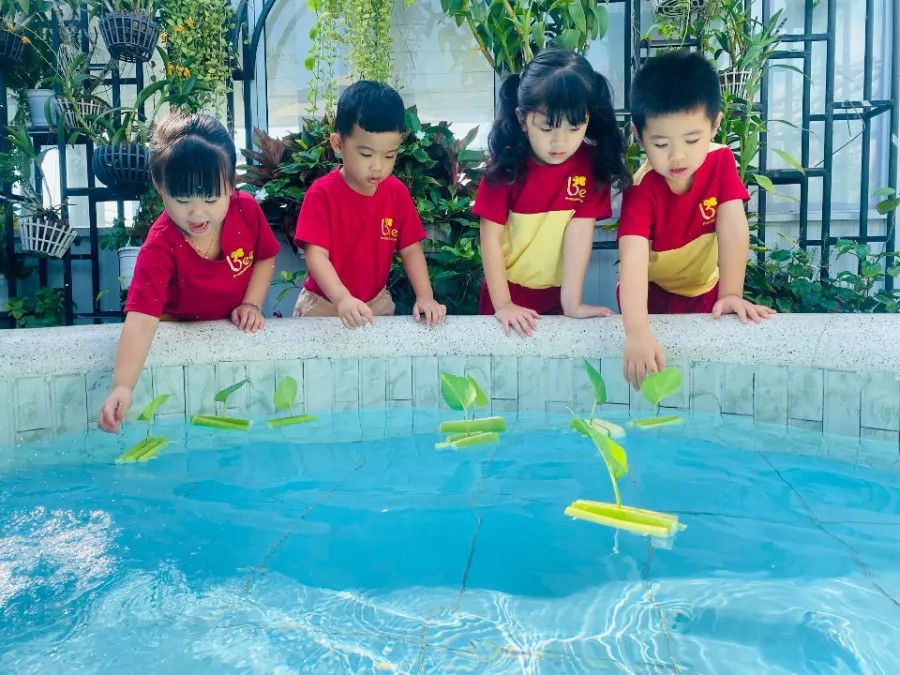 Trường Mầm Non Ong Vàng (Bee Preschool)