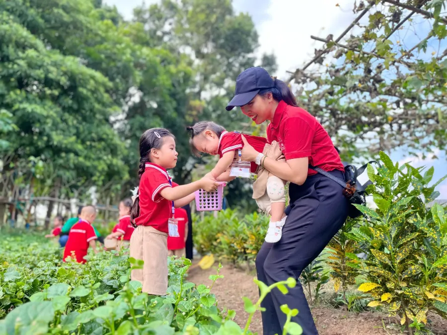 Trường mầm non Lá Phong Đỏ (Maple Leaf Academy)
