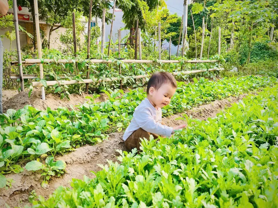 Mầm Non Sao Mai (Cơ sở 5) - Phường Vũ Ninh