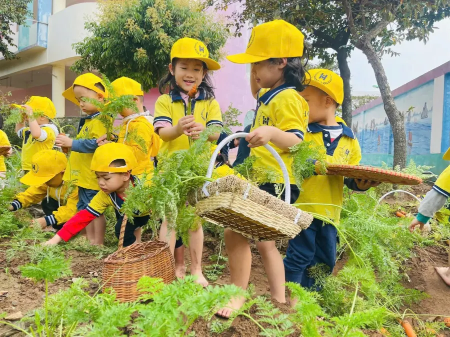 Hệ Thống Trường Mầm Non Hồng Nhung