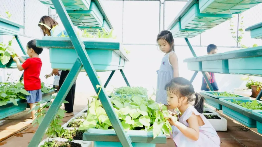 Trường mầm non Ngôi Nhà Hạnh Phúc Happy House Montessori