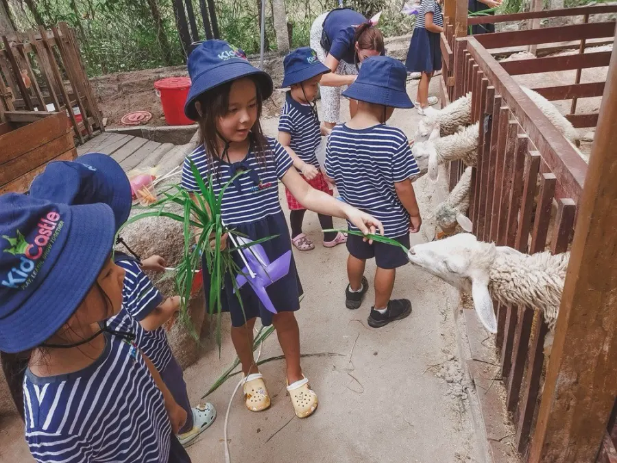 Trường Mầm Non Quốc Tế Kid Castle