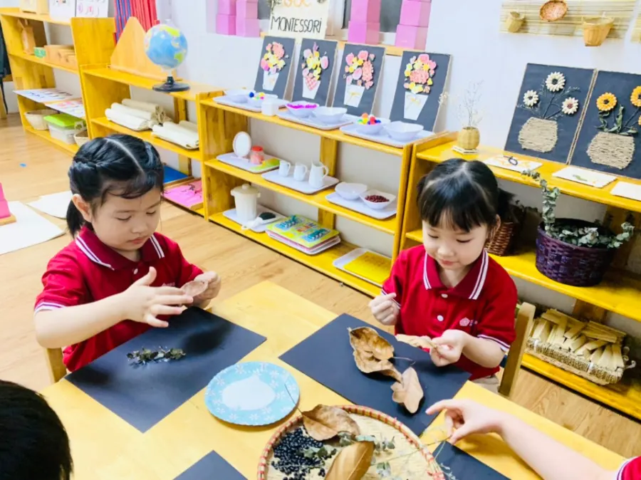 Trường Mầm Non Nice Kids - Mộ Lao, Hà Đông