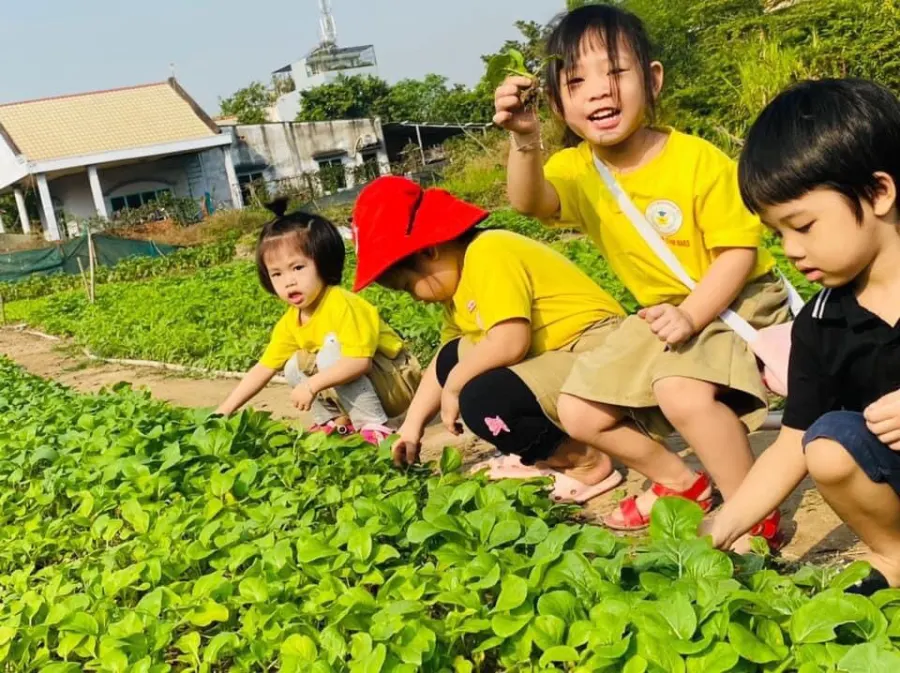 Trường mầm non Sao Việt (Vietstar) - 166 Lê Văn Thịnh, Cát Lái
